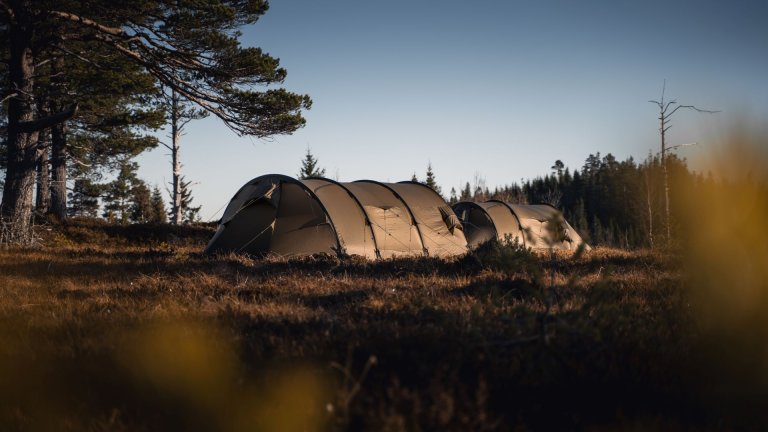 To telt i en åpning i skogen med lav sol