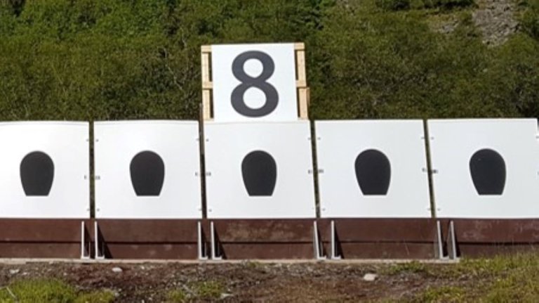 Fem skiver for feltskyting med nummer 8 over