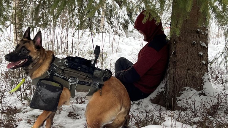 Hund med vest med utstyr ved siden av en mann som sitter i snøen under et tre